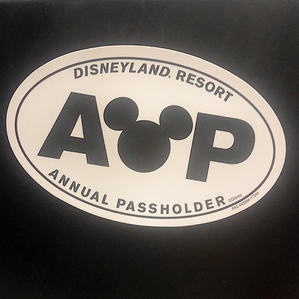 Disneyland AP Magnet